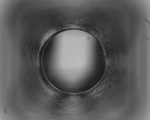 X0000098140248200804241721