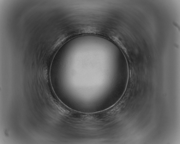 X0000098140249200804241721