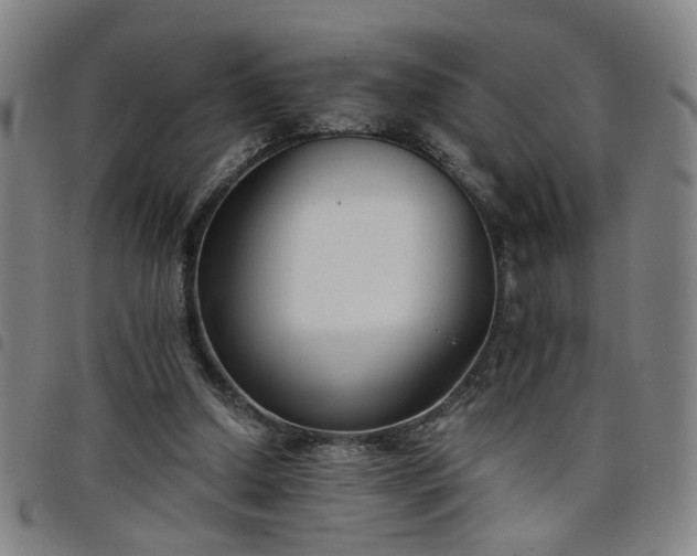 X0000098140250200804241721