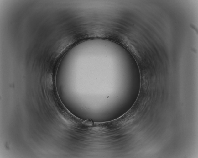 X0000098140251200804241721