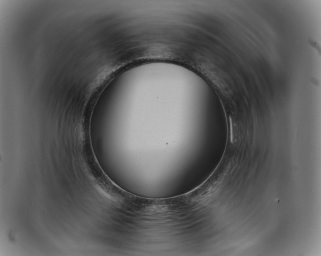 X0000098140252200804241721