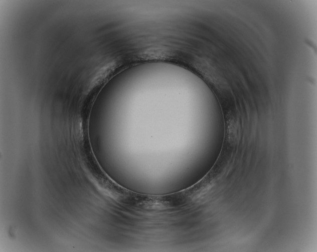 X0000098140254200804241721