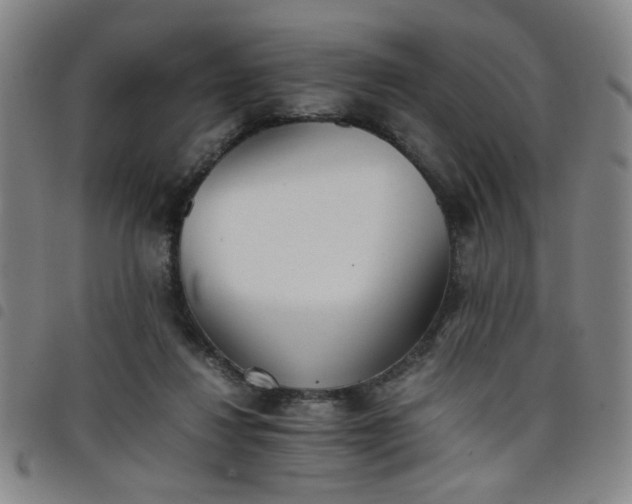 X0000098140260200804241721