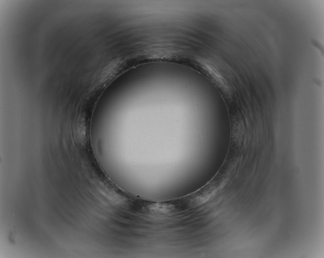 X0000098140261200804241721