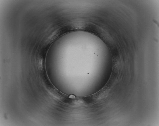 X0000098140262200804241721