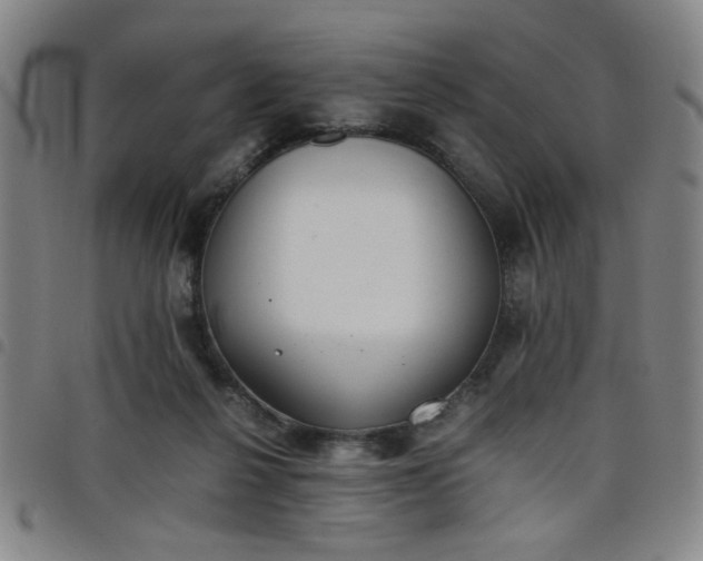 X0000098140264200804241721