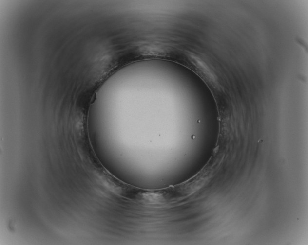 X0000098140265200804241721
