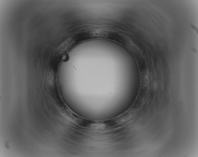 X0000098140266200804241721