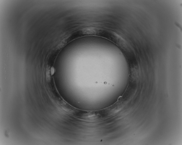 X0000098140267200804241721