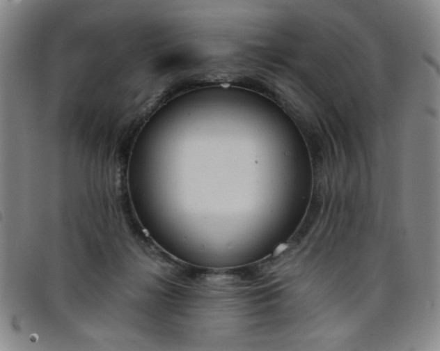 X0000098140268200804241721
