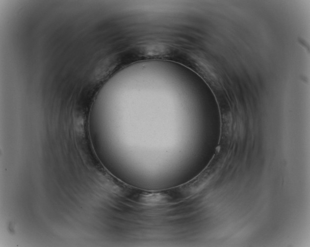 X0000098140269200804241721