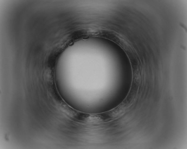 X0000098140270200804241721