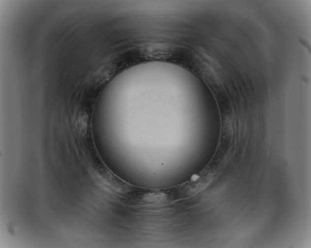 X0000098140271200804241721