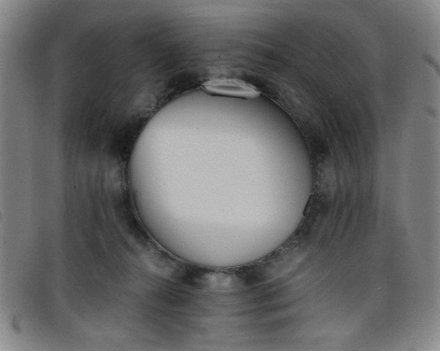 X0000098140272200804241721