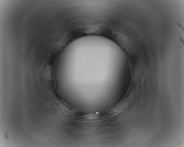 X0000098140273200804241721