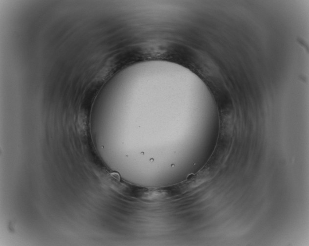 X0000098140274200804241721