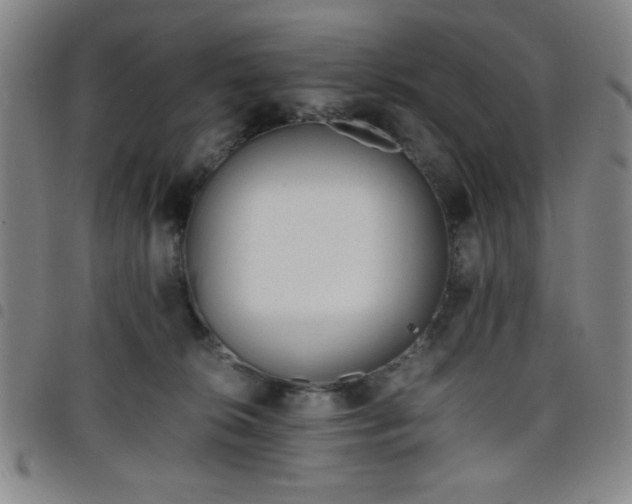 X0000098140276200804241721