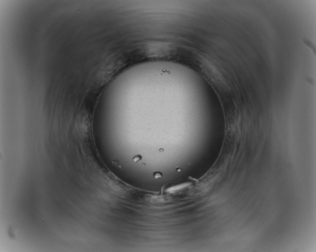 X0000098140277200804241721