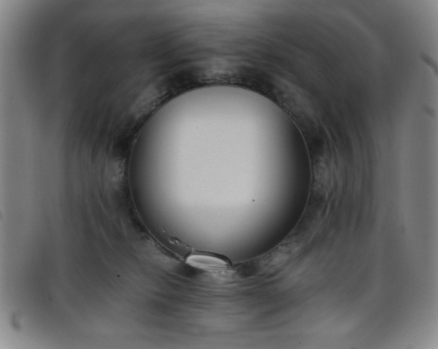 X0000098140278200804241721