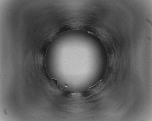 X0000098140279200804241721