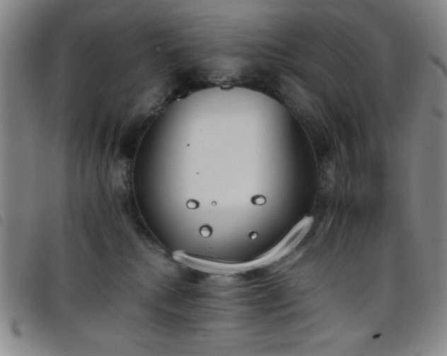 X0000098140280200804241721