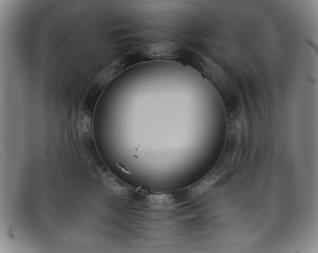 X0000098140281200804241721