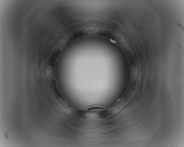 X0000098140283200804241721
