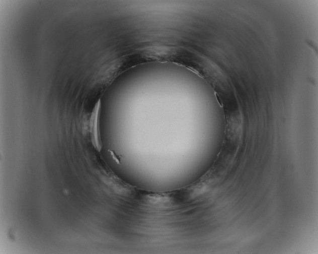 X0000098140284200804241721