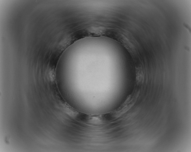 X0000098140285200804241721