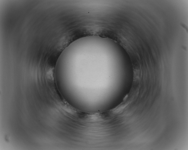 X0000098140286200804241721