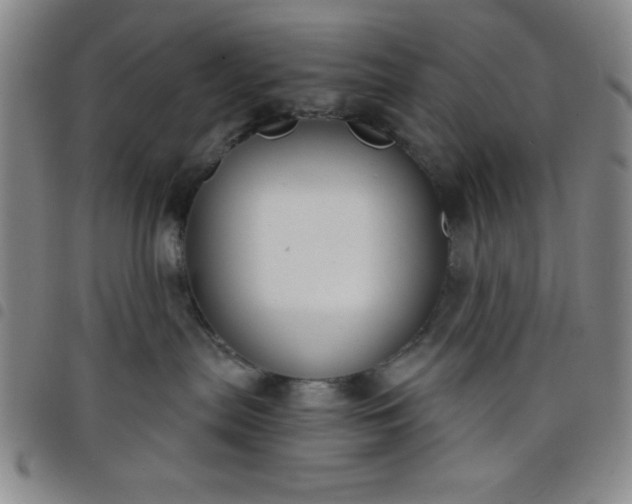 X0000098140287200804241721