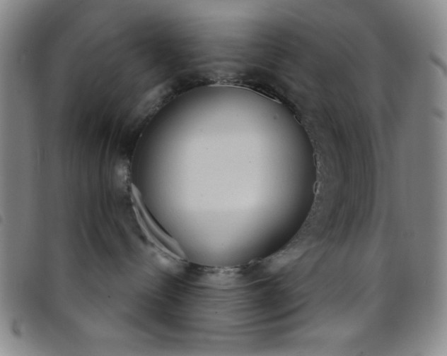 X0000098140288200804241721