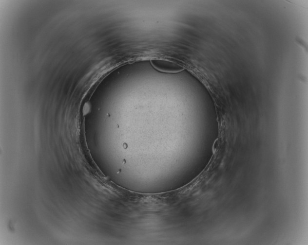 X0000098140290200804241721