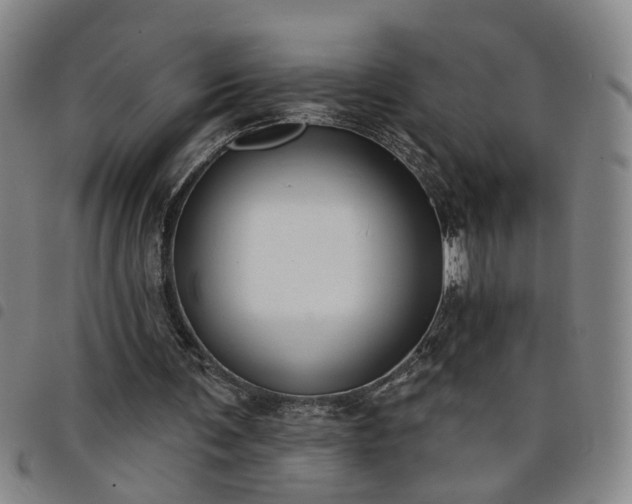 X0000098140291200804241720