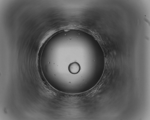X0000098140292200804241720