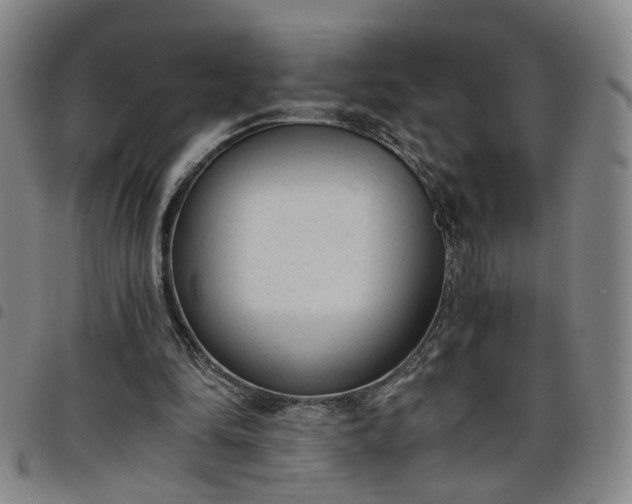 X0000098140294200804241720