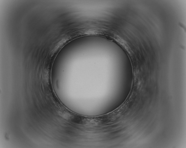X0000098140297200804241720