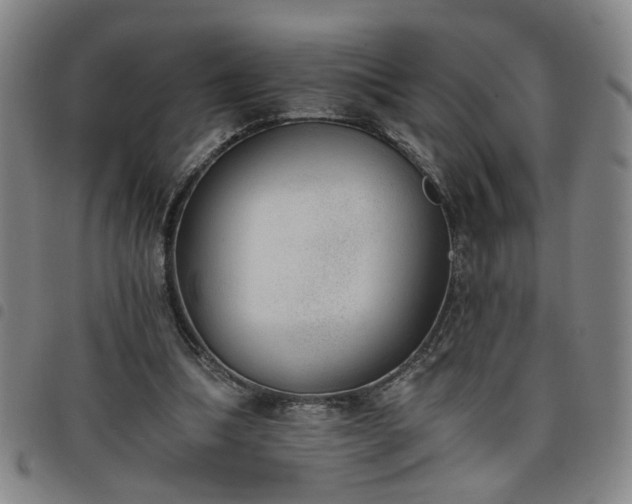 X0000098140298200804241720