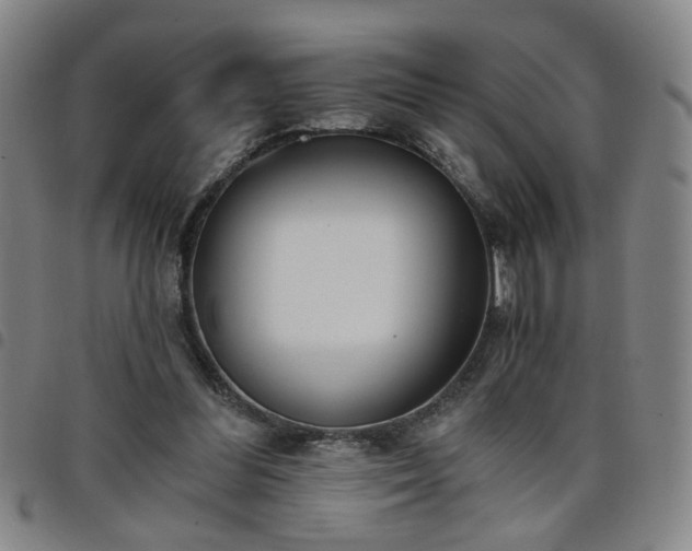 X0000098140300200804241720
