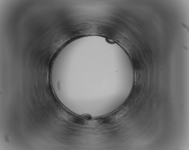 X0000098140301200804241720