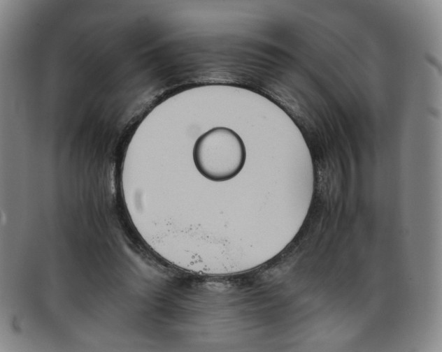 X0000098140302200804241720