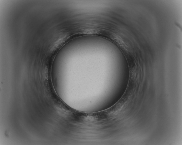 X0000098140303200804241720