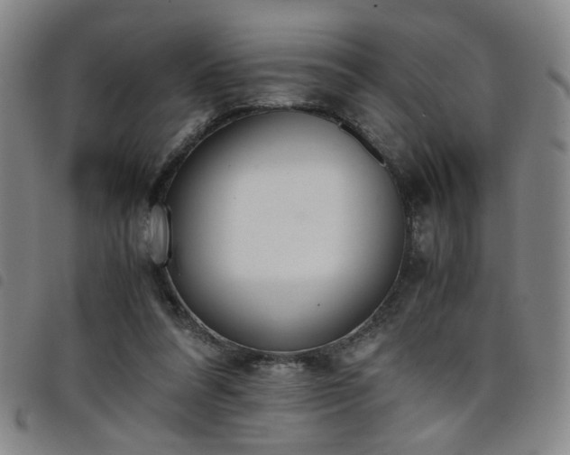 X0000098140304200804241720