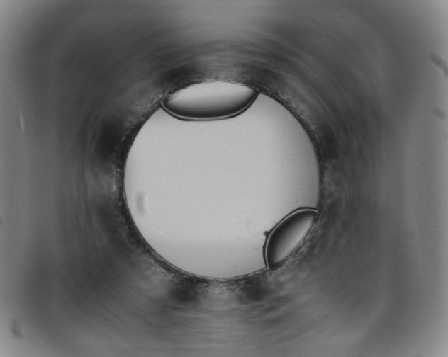 X0000098140305200804241720