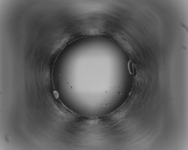 X0000098140306200804241720