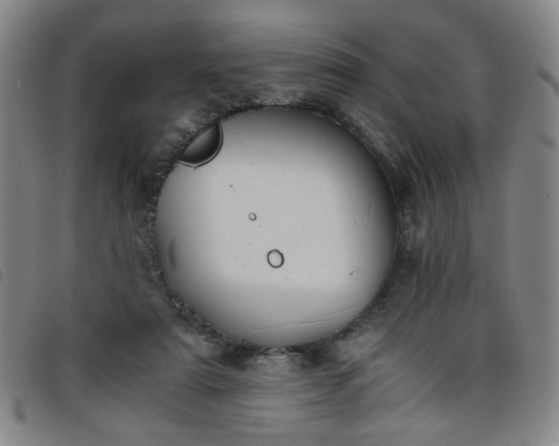 X0000098140307200804241720