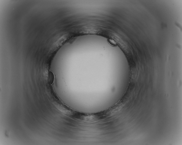 X0000098140309200804241720