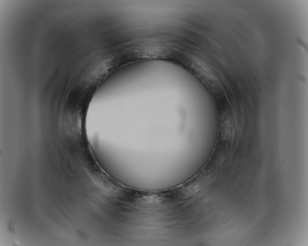 X0000098140310200804241720