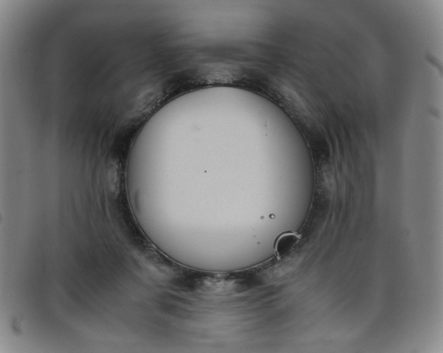 X0000098140311200804241720