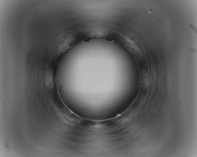 X0000098140312200804241720